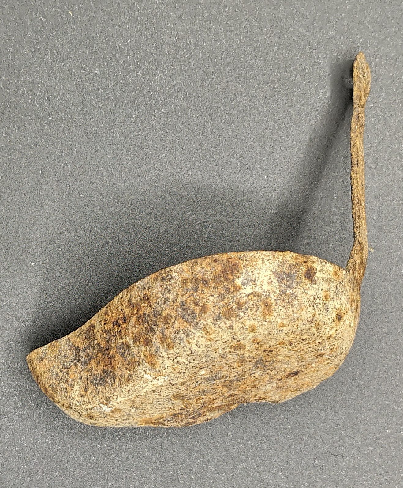 rbsh_soft Lampada - infoGRANAIO