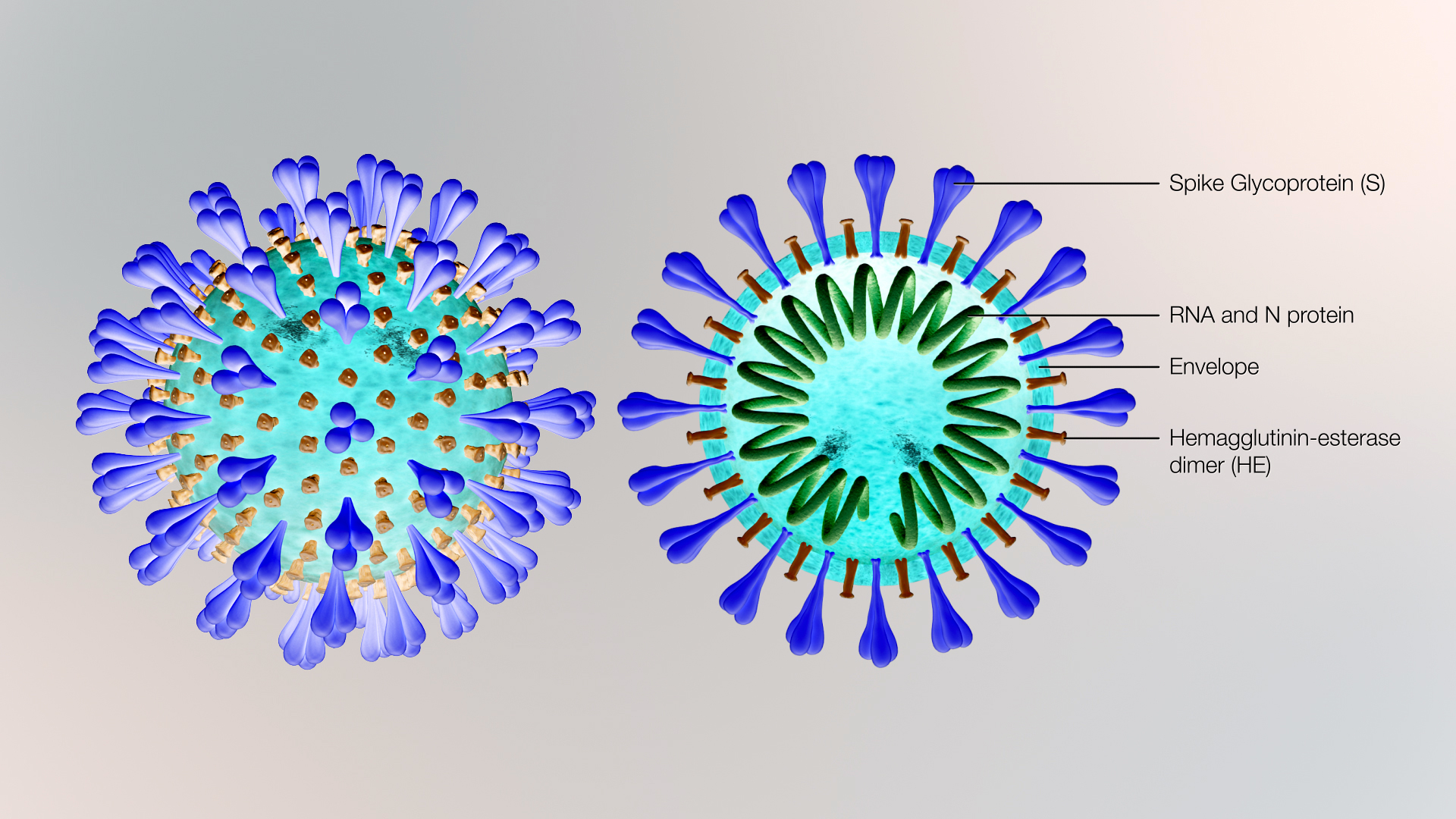 Le COSE al tempo del COVID19