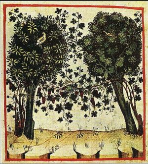 PAESAGGIO - 3